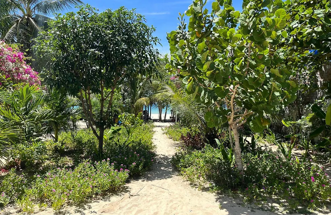Robinson Beach Bungalow-1
