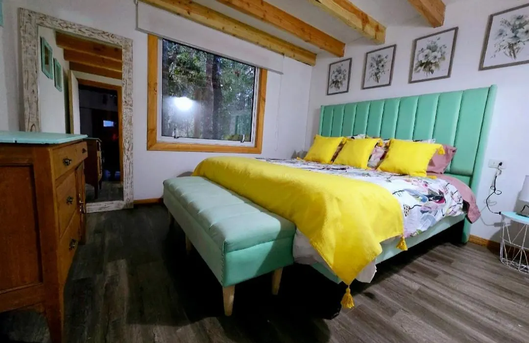 Casa Flores Verdes-1