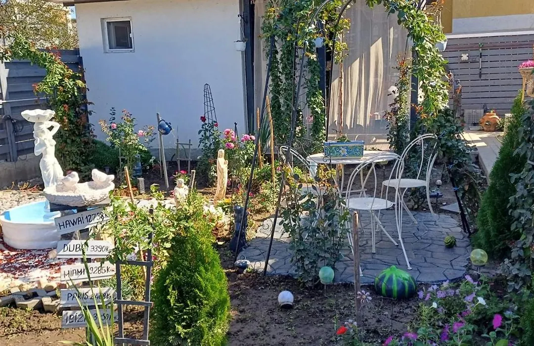 House Of Roses Galati-1