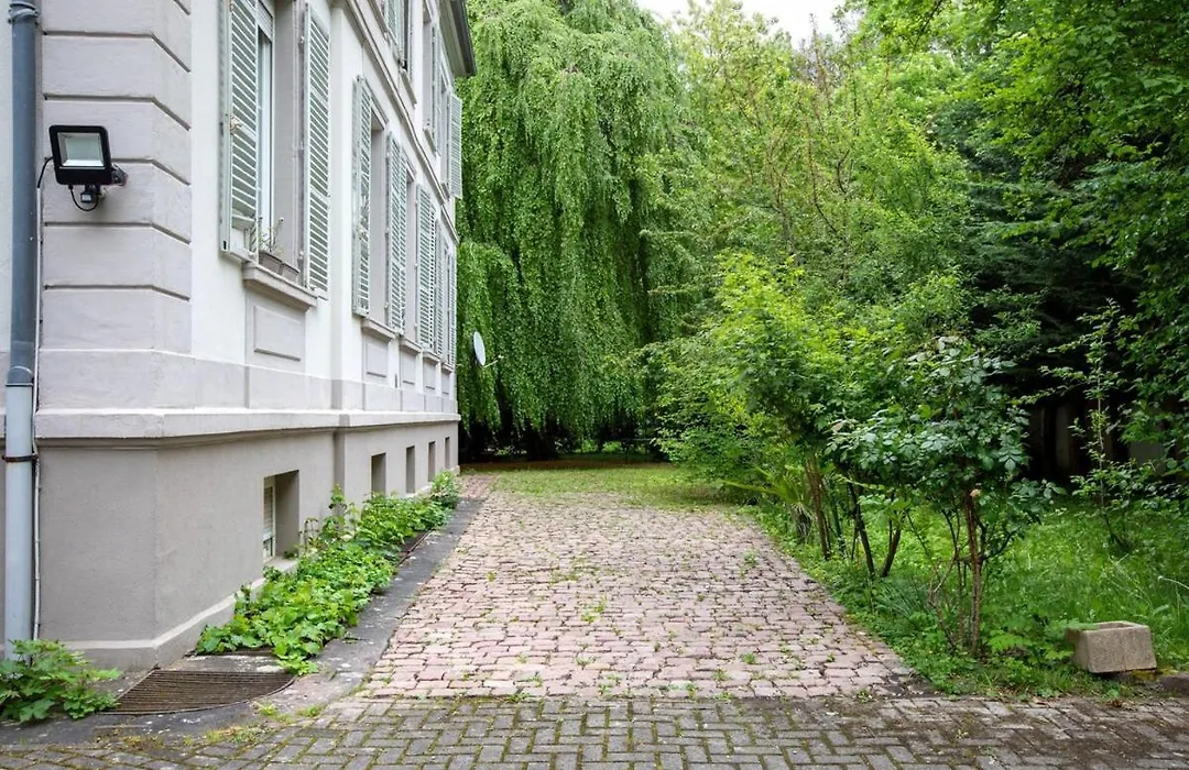 Spacieux Studio, Maison De Maitre, Parking Prive Sur Place, Mulhouse Centre-1