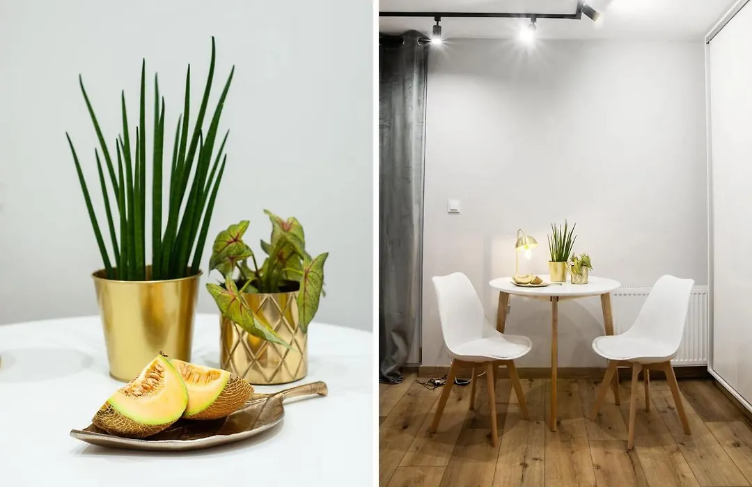 Nowy Swiat Suite-1