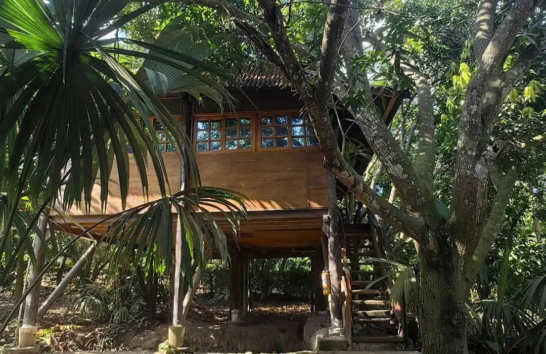 Finca Los Mangos-1