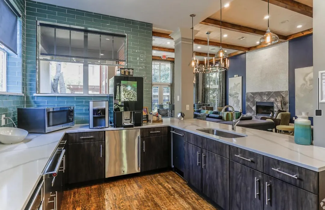 Lavish Apartment Near Houston Medical Centre-1