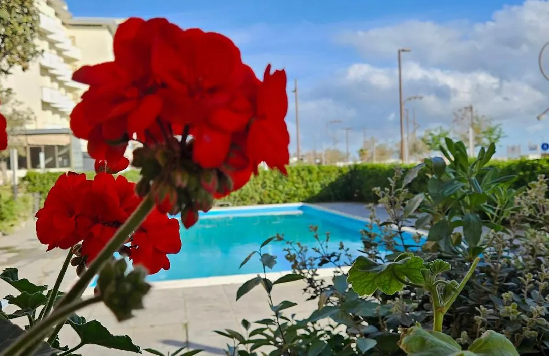 Park Hotel-1