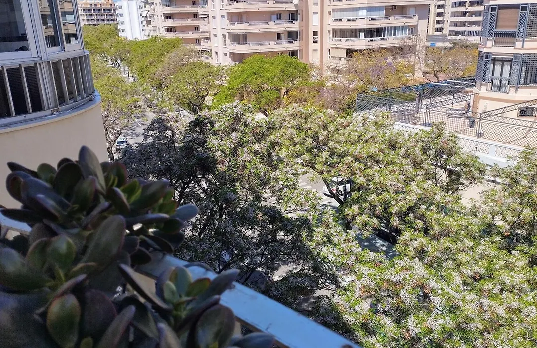 Apartment Marbella Centro-1