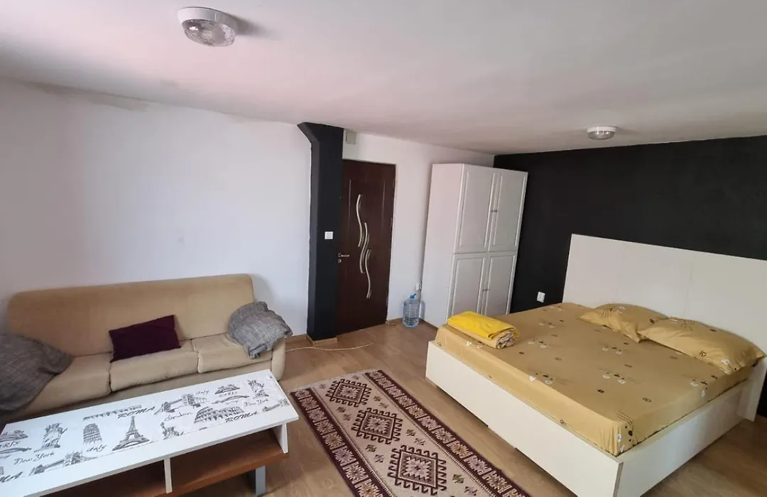 Iris Studio Spacious Apartment-1