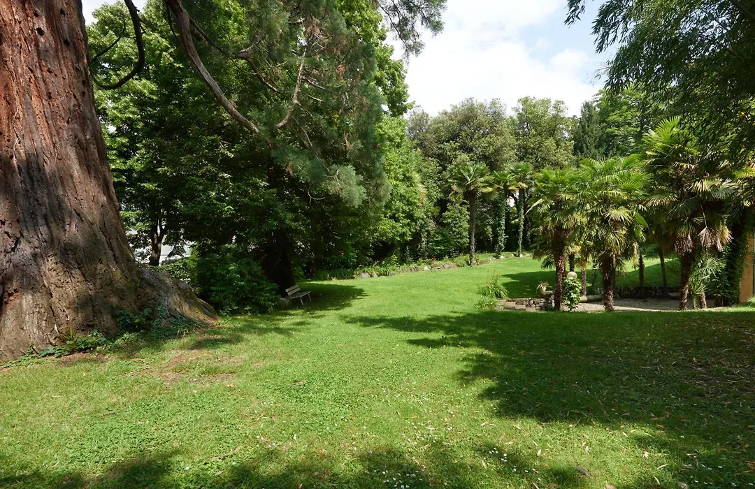 Central Palm Studio With Free Parking-1