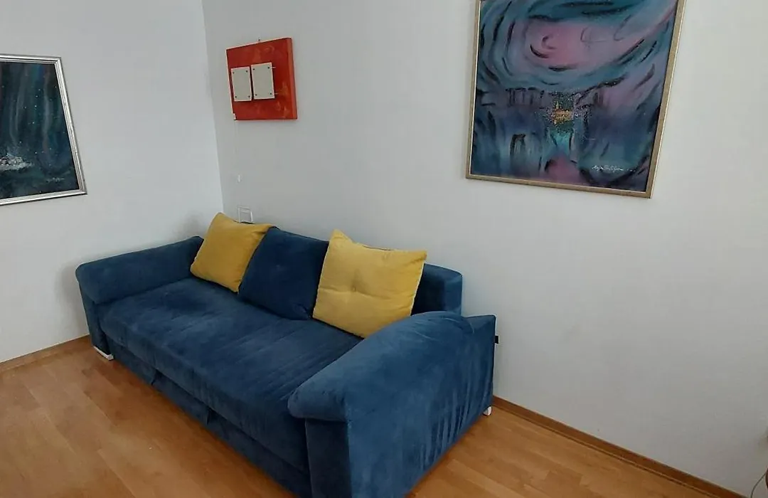 Mulo Stanicica-1