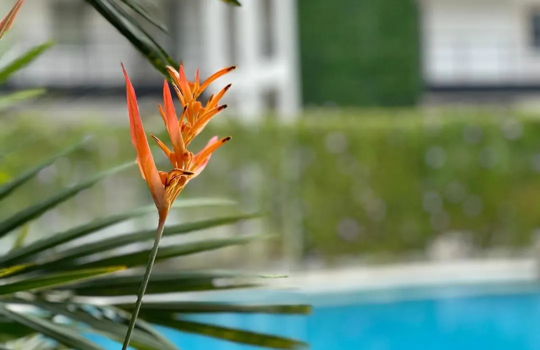 Walk To Private Beach Luxury Amidst Nature-1