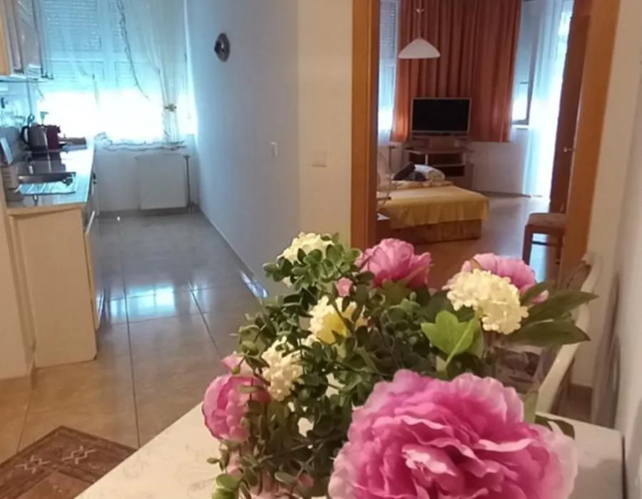 Favorite Apartment-1