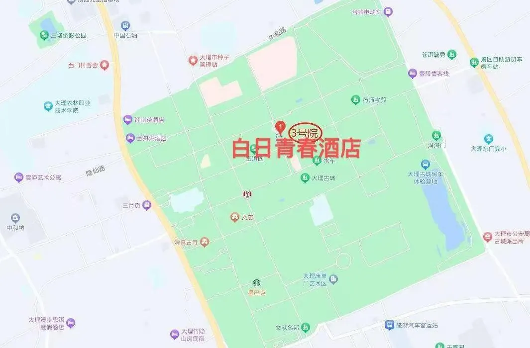 Dali Ancient Town Center White Day Youth Hotel-1