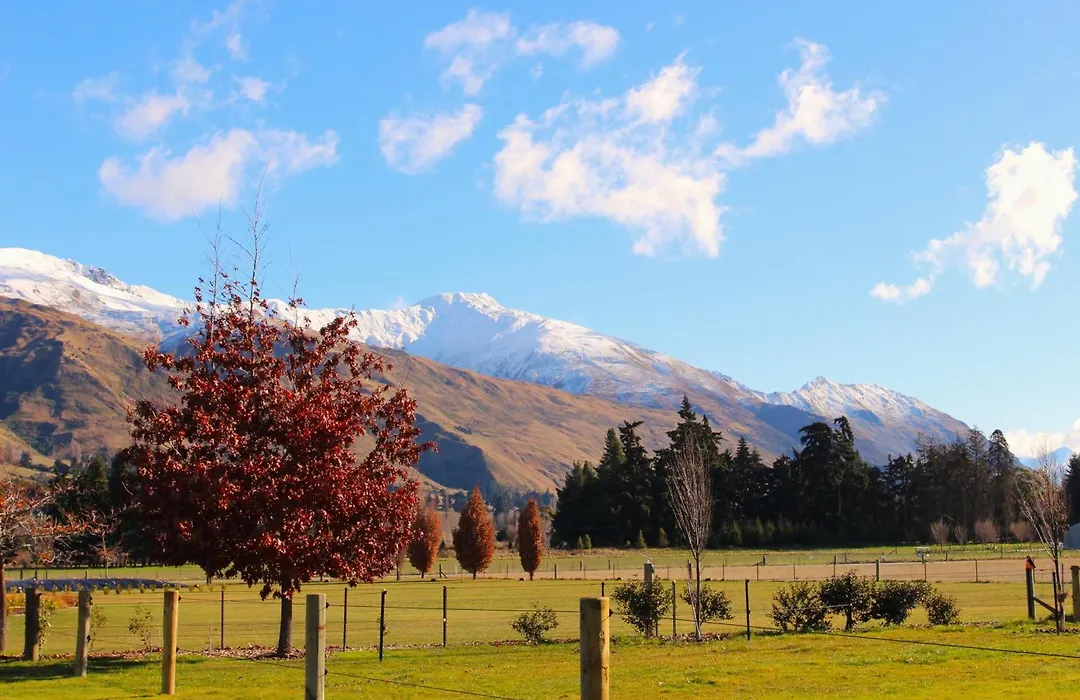 Wanaka Mountain View-1