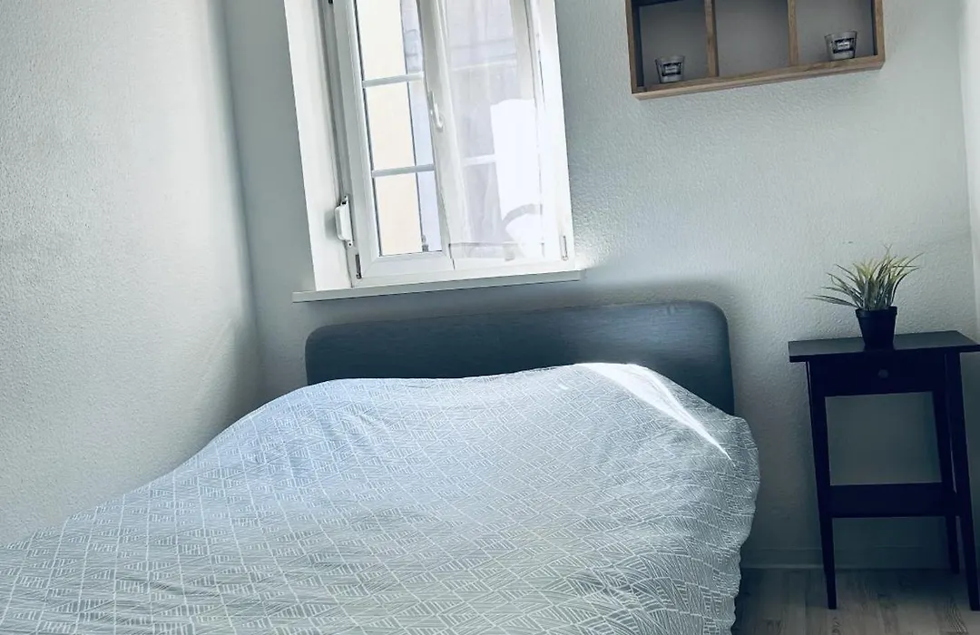 Petit Coin Tranquille A 2 Pas De Strasbourg-1
