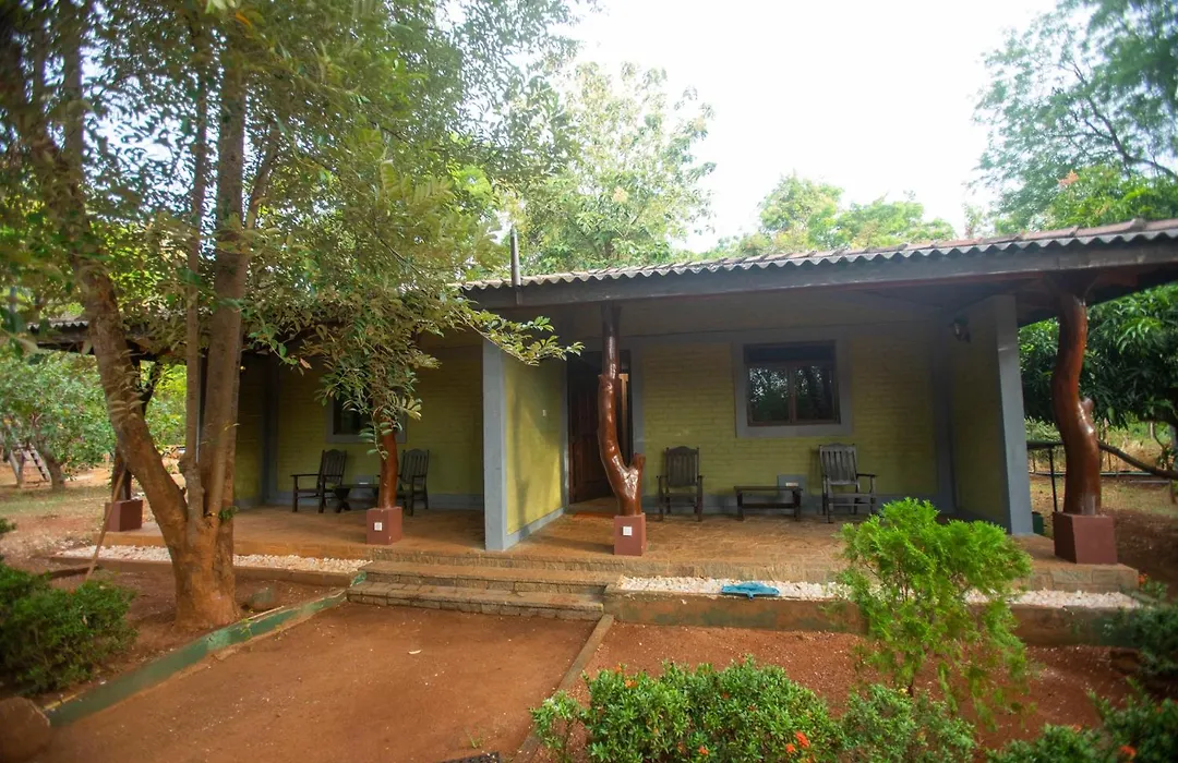 Funk Bunks - Sigiriya-1