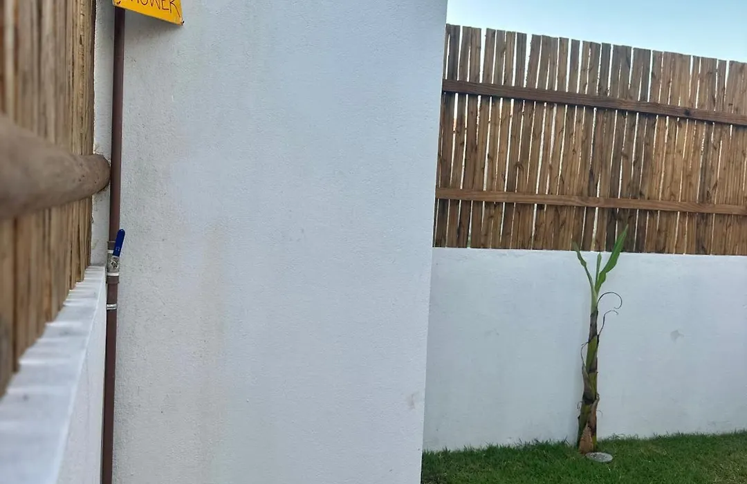 Kza Da Paty Prea Dela-1