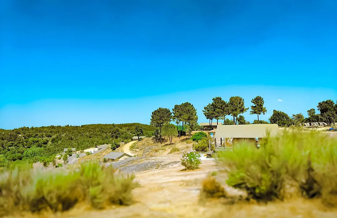 Quinta Dos Corgos-1
