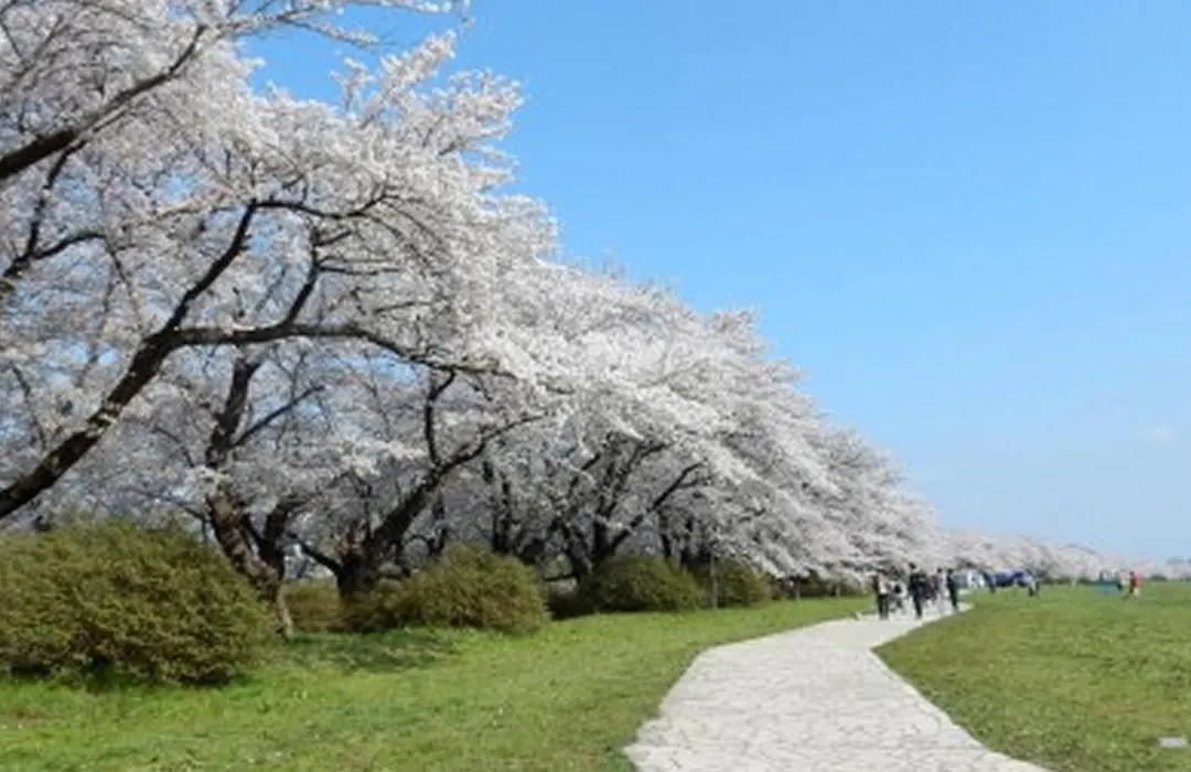 Guesthouse Hikobae - Vacation Stay 13657V-1