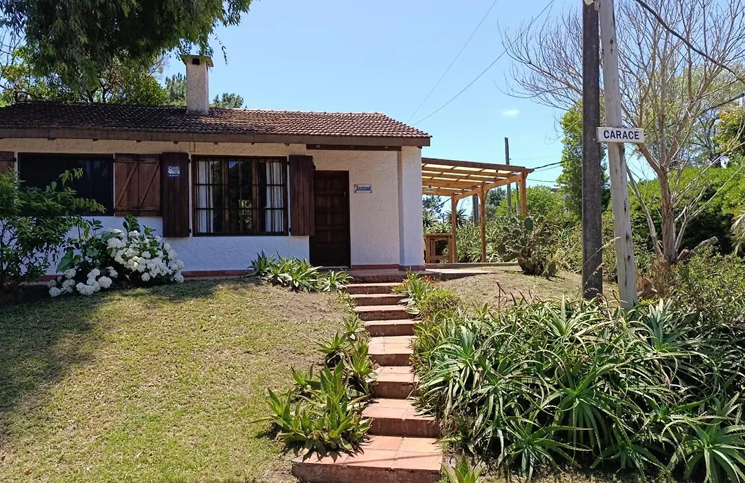 Jacaranda-1
