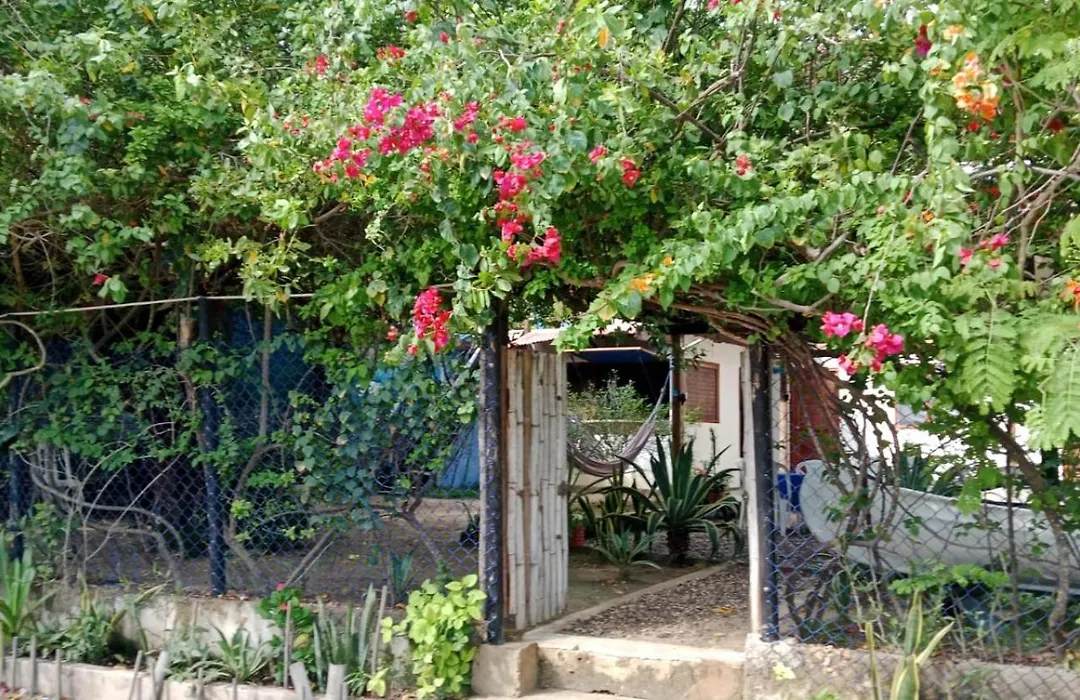 Hostal El Nido Del Azulejo-1