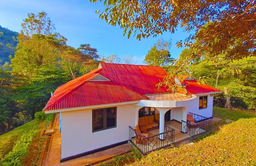 Dole Homes-1