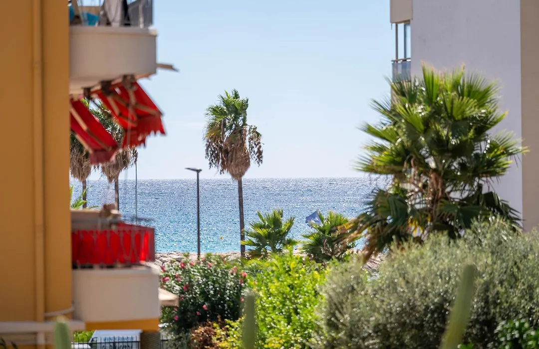 Appartement Avec Vue Mer-1