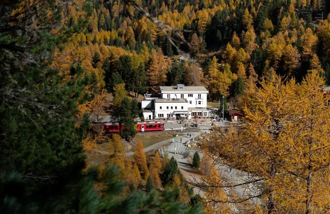 Gletscher-Hotel Morteratsch-1