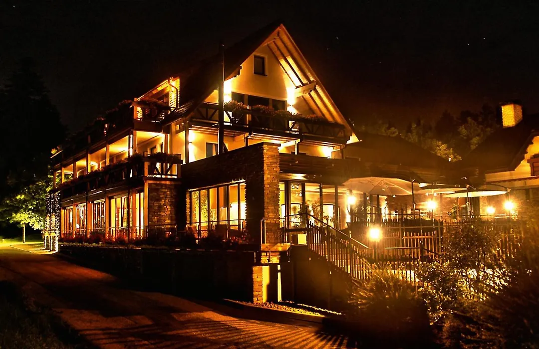 Hotel Grüner Wald-1