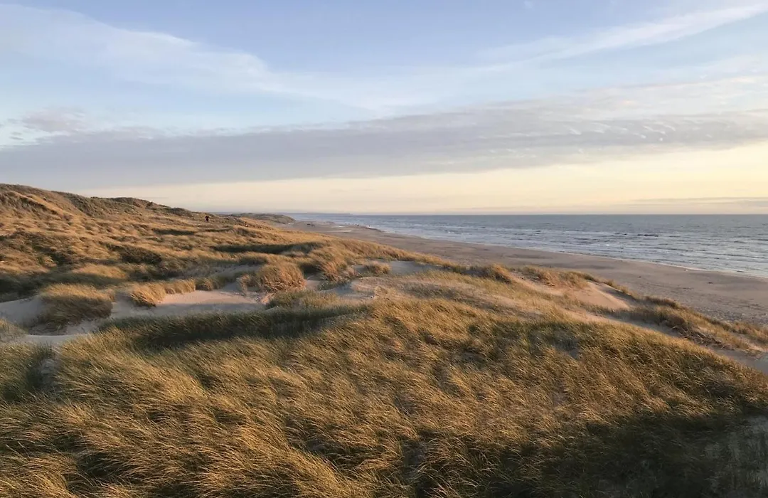 Holiday Home Finna - 1Km From The Sea By Interhome-1
