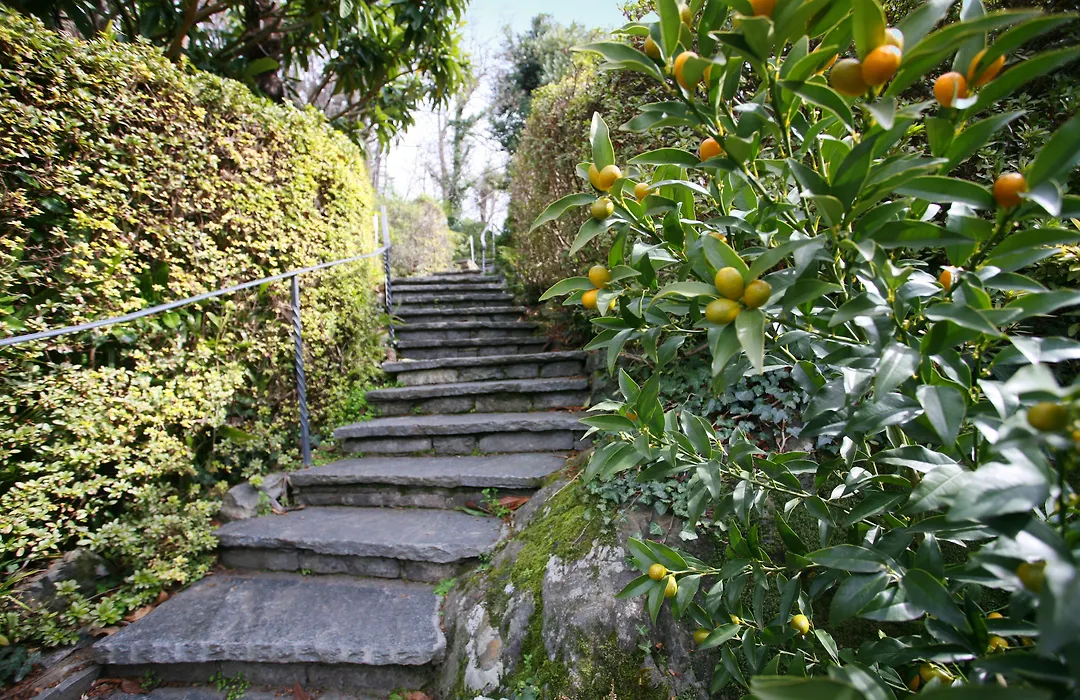 Hotel Collinetta-1