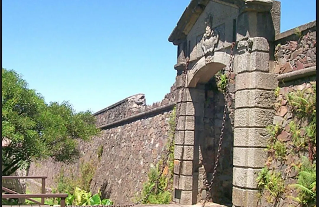 Colonia Home-1