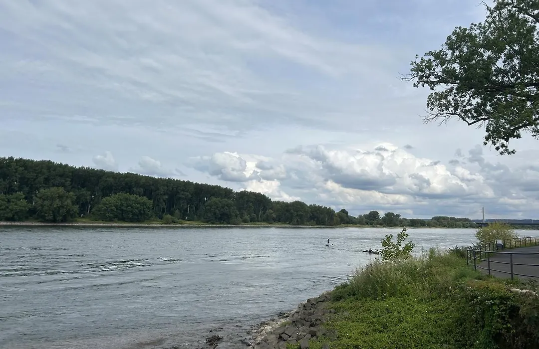 Private Zimmer mit eigener Küche und in Rheinnähe-1