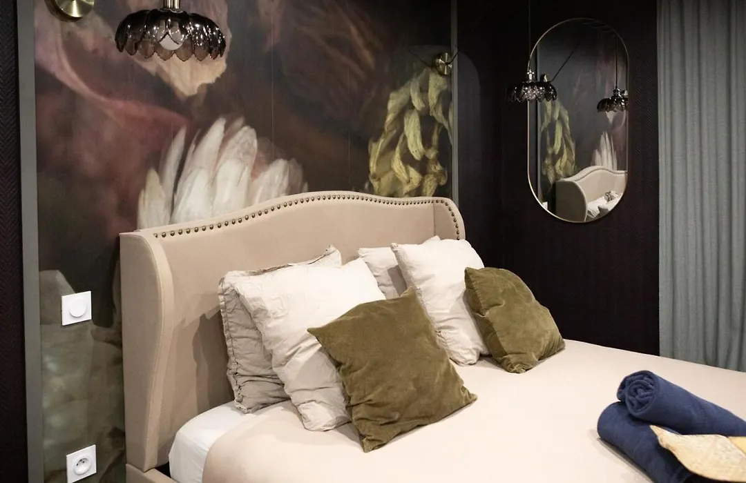 Deluxe Studio, Dark Floral, Jacuzzi, Parking Gratuit, Mulhouse Centre-1