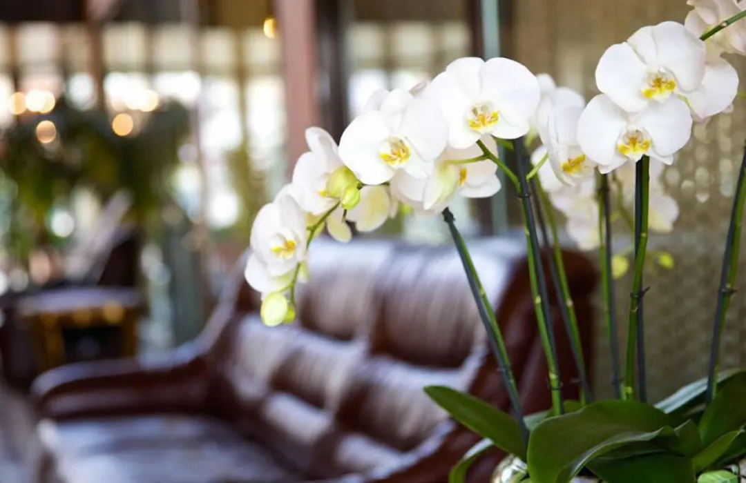 Hotel Garni Geisler-1