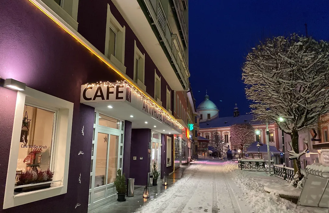 AKTIVHOTEL Weisser Hirsch-1