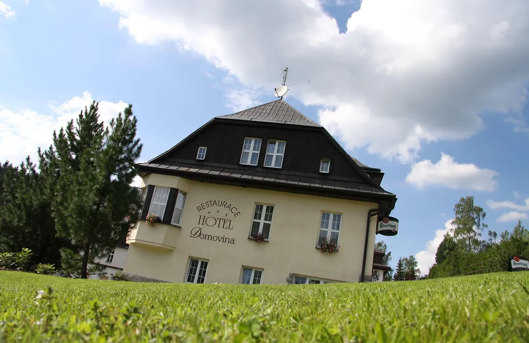 Hotel Domovina-1