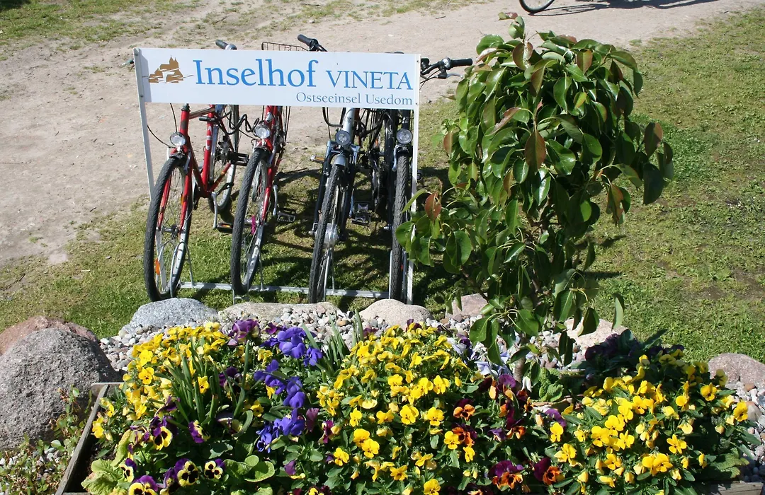 Inselhof Vineta-1