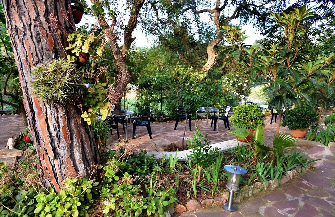 Hostal Magnolia-1