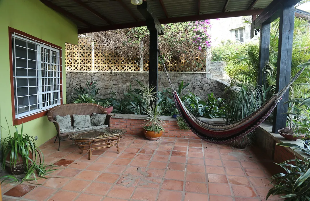 The Golden Frog Inn-1