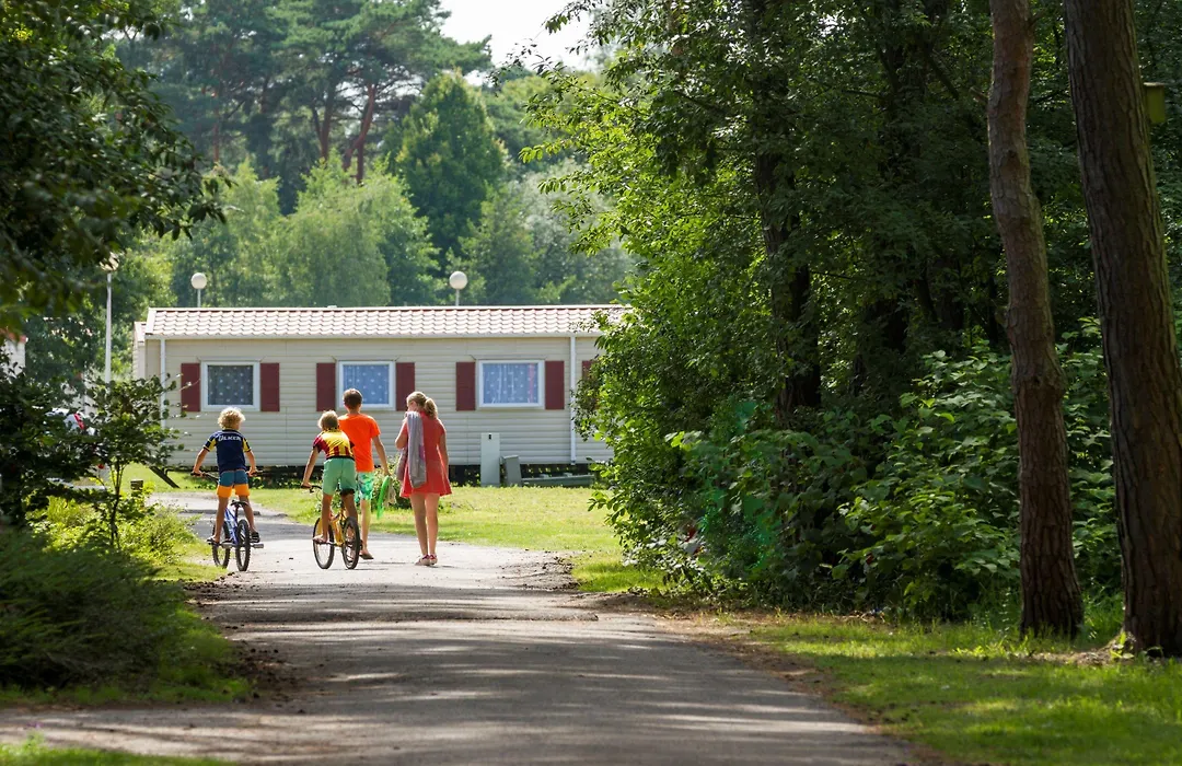 EuroParcs Zilverstrand-1