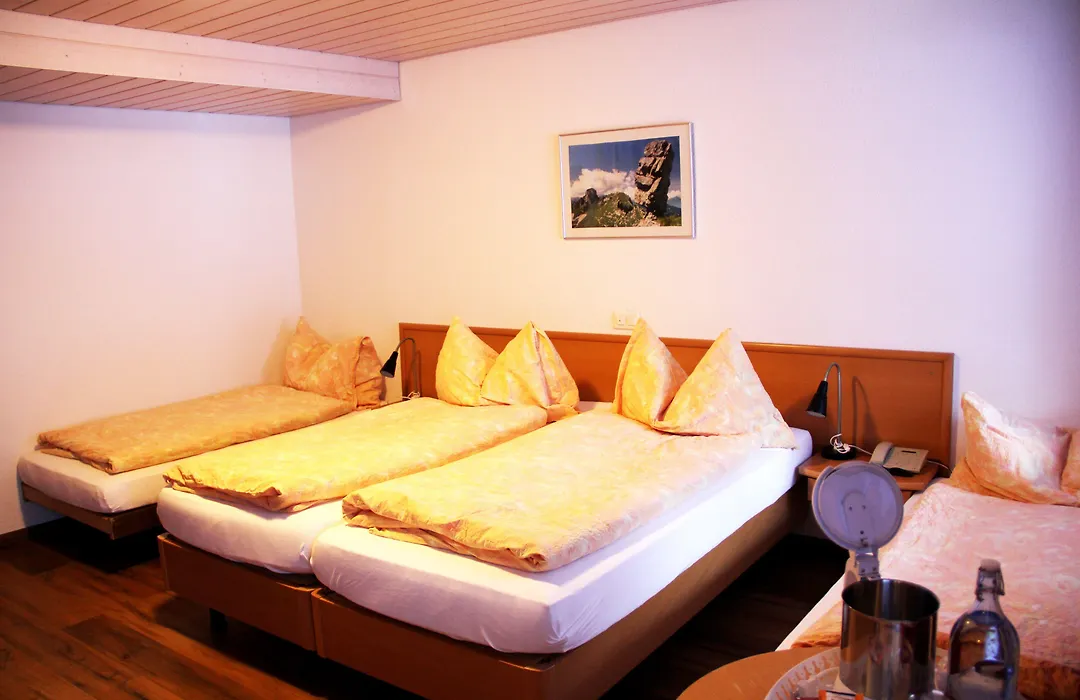 Hotel Eigerblick-1