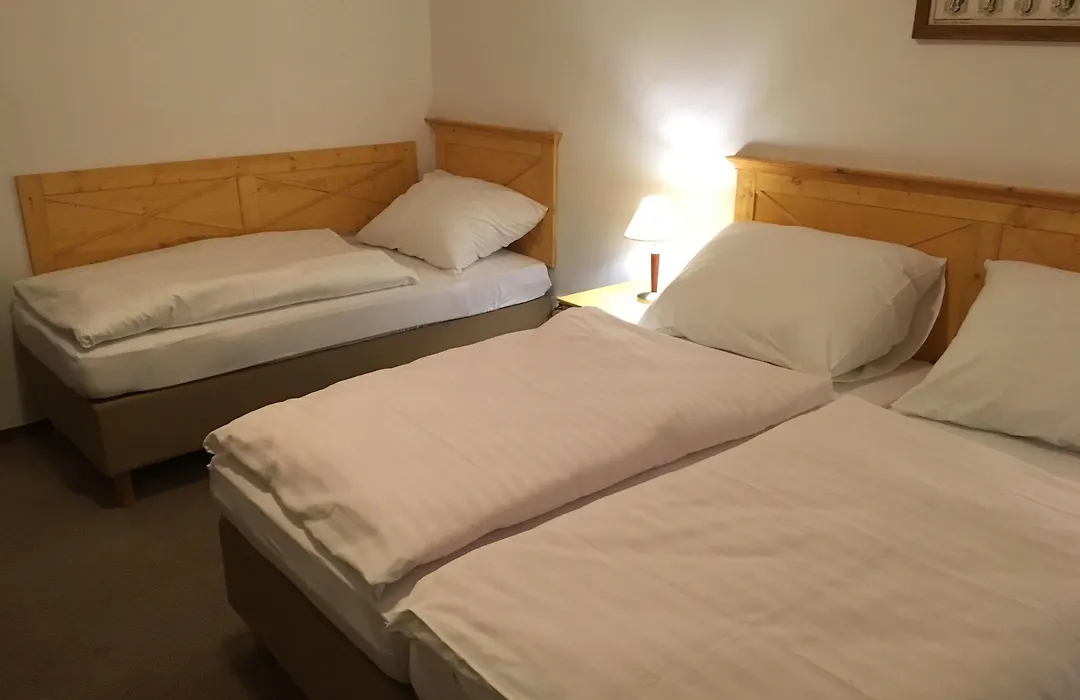 Hotel Tri Ruze-1