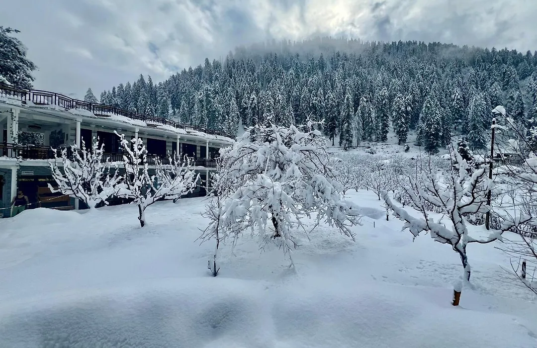 Rare House-1