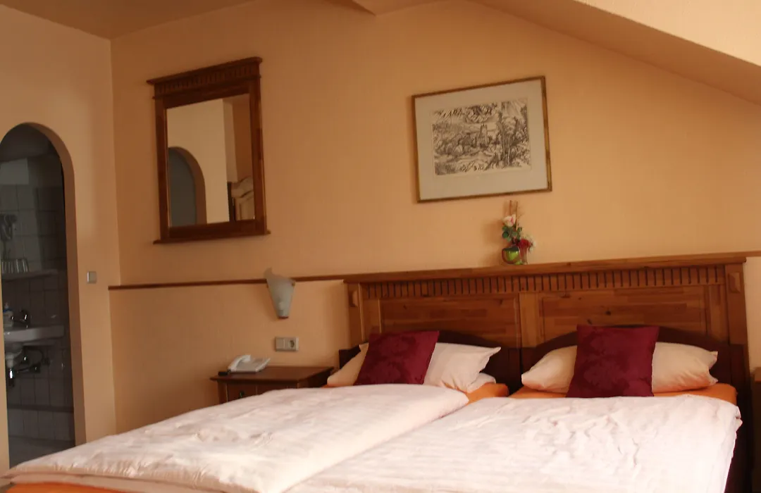 Hotel Am Roonplatz-1
