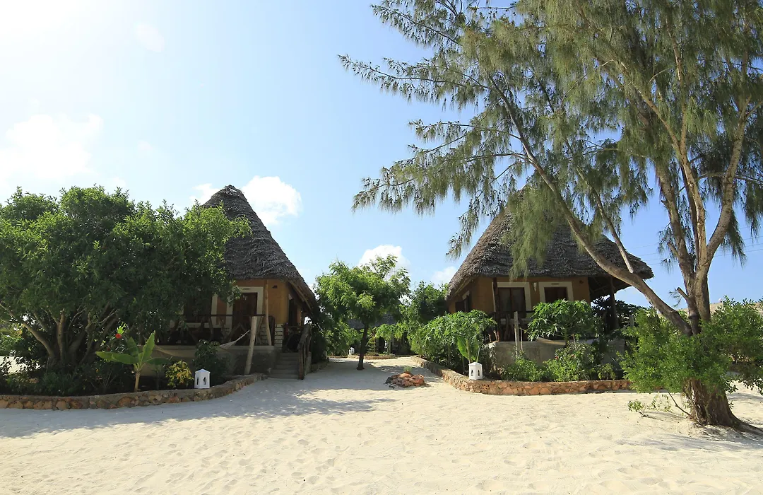Ujamaa Beach Resort-1