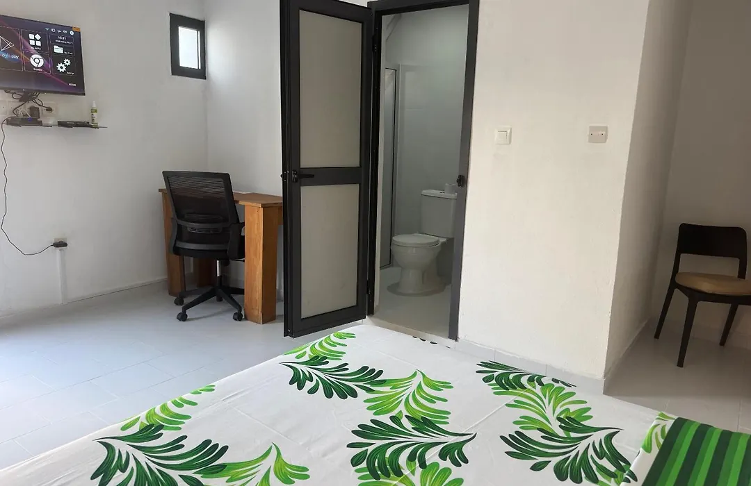 Maison Mimosa-1