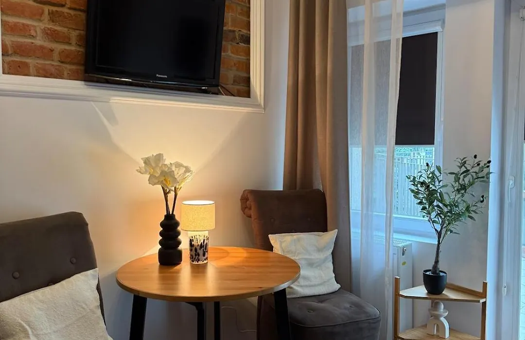 Cozy Central Krakow Studio - Walk To Wawel - Fast Wi-Fi & Smart Tv-1