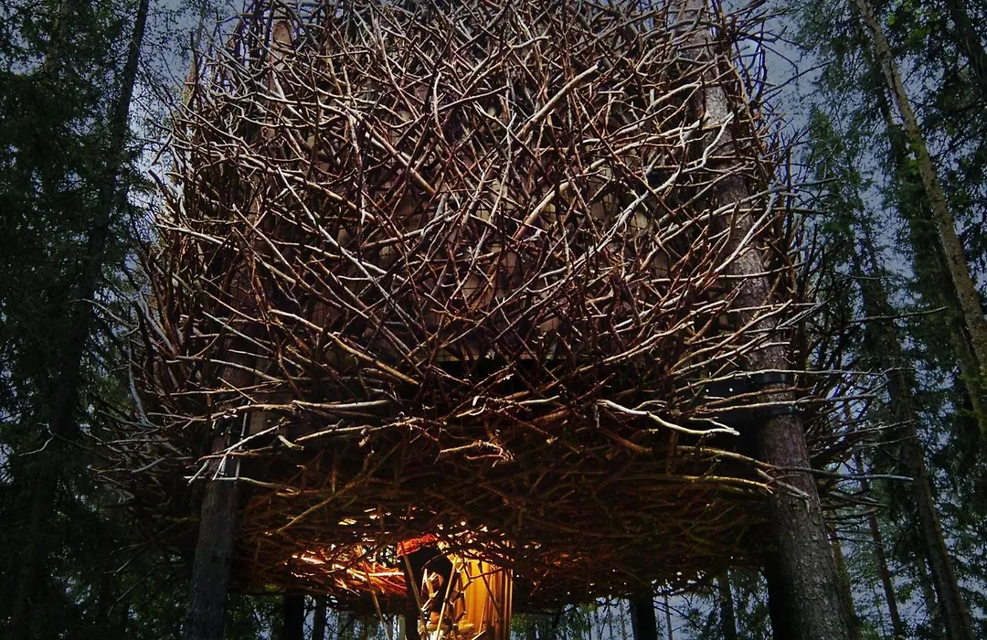 Treehotel-1