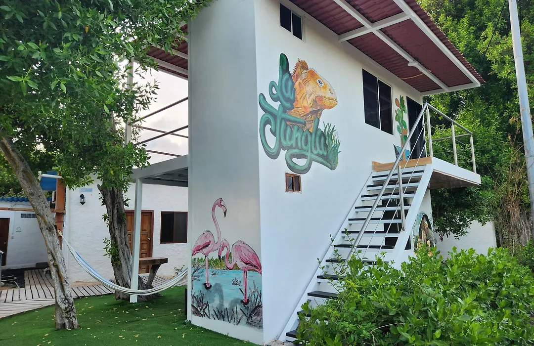 Hotel La Jungla-1
