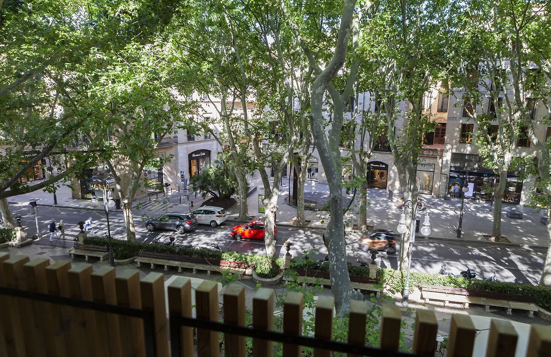 Nivia Born Boutique Hotel-1