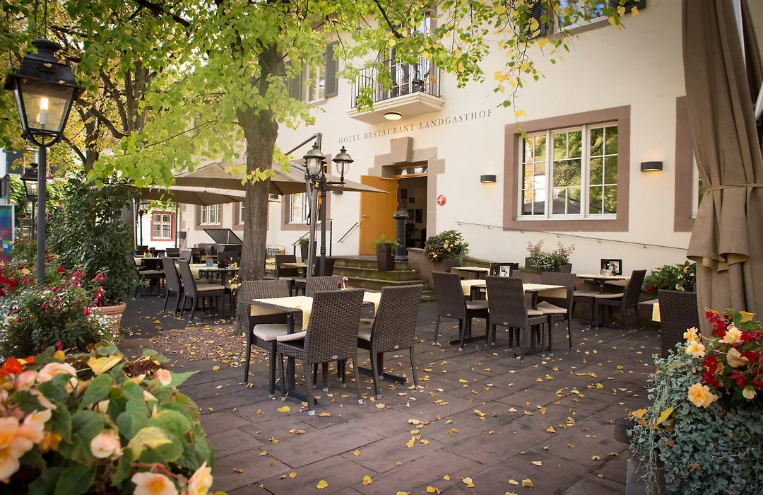 Hotel Landgasthof Riehen / Basel-1